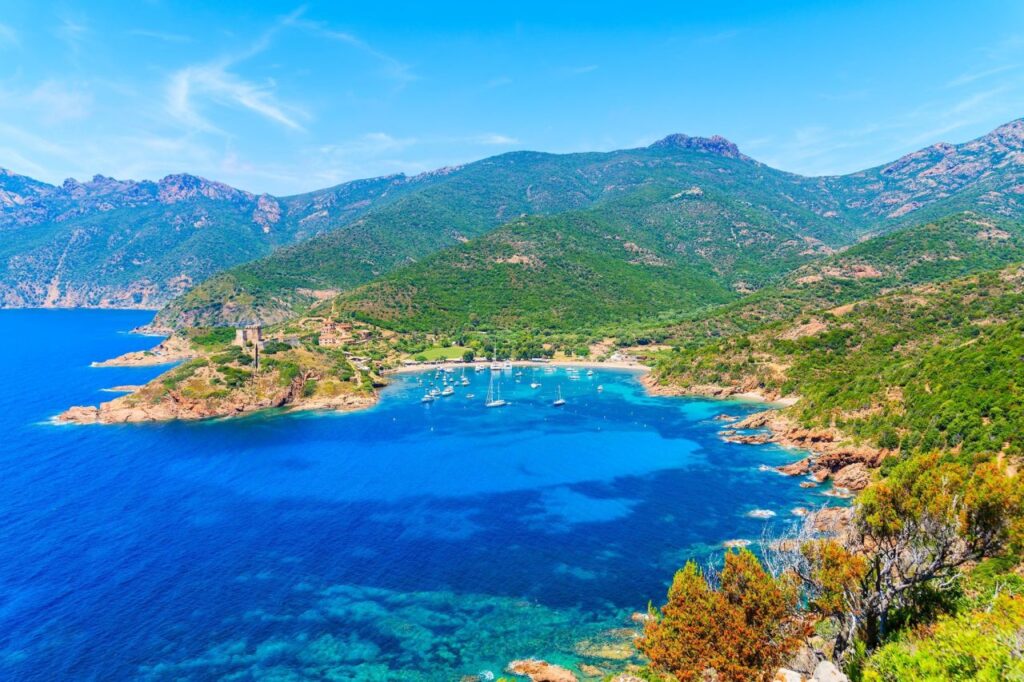 Découvrir GIrolata
